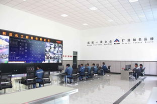 科邁股份大噸位硫化促進(jìn)劑微化工連續(xù)流技術(shù)開發(fā)成功